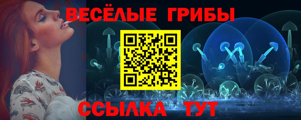 Псилоцибиновые грибы мицелий  наркошоп  Касимов  Вход с VPN 