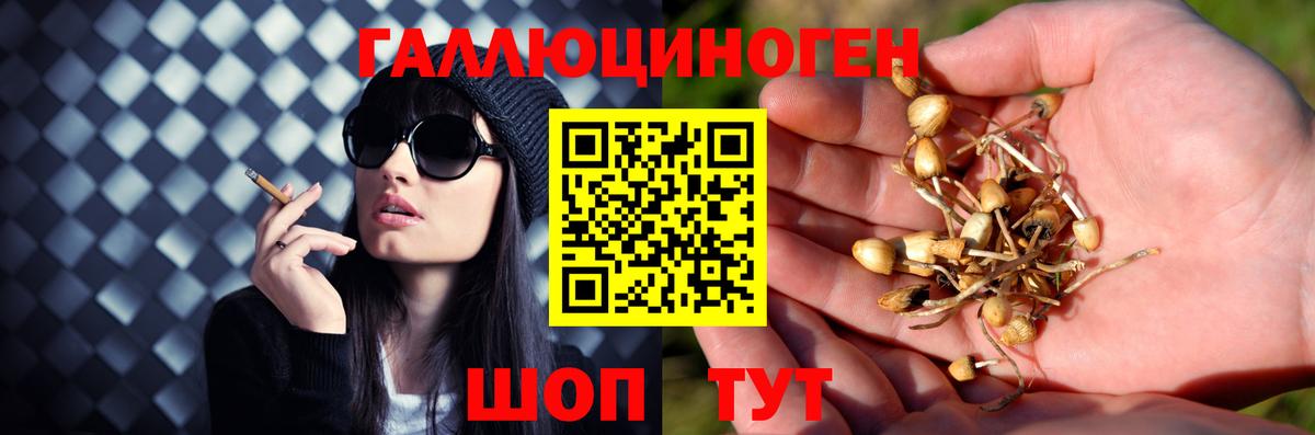 Псилоцибиновые грибы прущие грибы Касимов